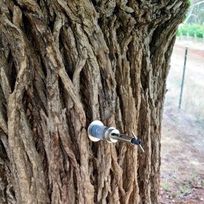 Lsm Tree Advice1