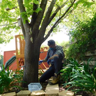 Treee Consulting
